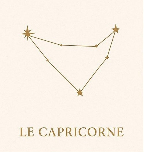 capricorne icon lithocapricorne